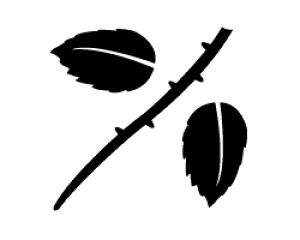 ؂蕶@yKŇs1iǒs1jzTCYFS(80×80mm)fށFJbeBOV[g