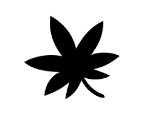 ؂蕶@y~W1zTCYFLL(200×200mm)fށFzOV[gEuV[g