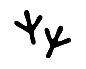 ؂蕶@y̑1zTCYF3L(őTCY)fށFJbeBOV[g