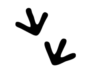 ؂蕶@y̑2zTCYF3L(őTCY)fށFzOV[gEuV[g