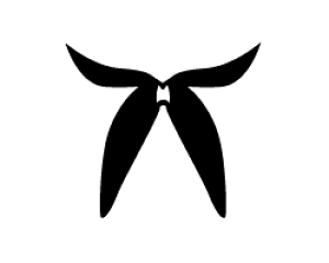 ؂蕶@y{5zTCYF3L(őTCY)fށFzOV[gEuV[g