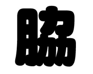 ؂蕶@yezTCYF3L(őTCY)fށFzOV[gEuV[g