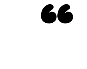 ؂蕶@ygzTCYF3L(őTCY)fށFJbeBOV[g