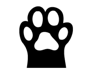 ؂蕶@yL̎1zTCYF3L(őTCY)fށFJbeBOV[g