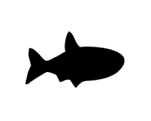うちわ 魚の人気商品 通販 価格比較 価格 Com