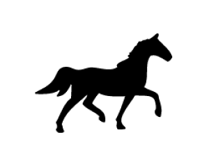 ؂蕶@yn1zTCYF3L(őTCY)fށFJbeBOV[g