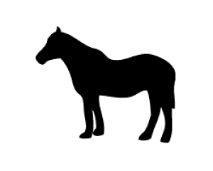 ؂蕶@yn2zTCYF3L(őTCY)fށFzOV[gEuV[g