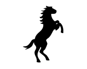 ؂蕶@yn3zTCYFS(80×80mm)fށFJbeBOV[g