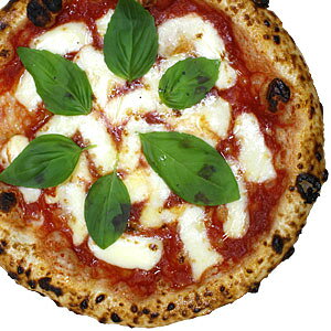 yⓀsUzw}Q[^EuH[mxa20cm 1MB̐dƐΗqŏĂ鍁LȖ{ii|sUmsUnmi|sUnmsbc@nmpizzan