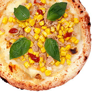 yⓀsUzwor[mxa20cm 1MB̐dƐΗqŏĂ鍁LȖ{ii|sUmsUnmi|sUnmsbc@nmpizzan