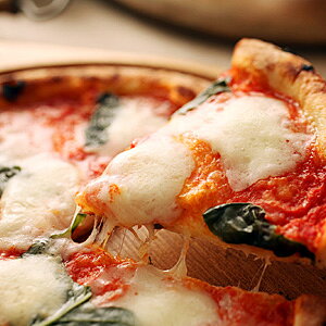 yⓀsUzw}Q[^Eubt@xa20cm 1MB̐dƐΗqŏĂ鍁LȖ{ii|sUmsUnmi|sUnmsbc@nmpizzan