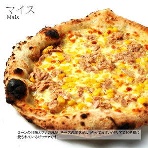 {i Ηq }CX ci R[  Ɛ bc@`[Y Oip_[ma20Z` C^AY 485̐dqŏĂ{ii|sbc@