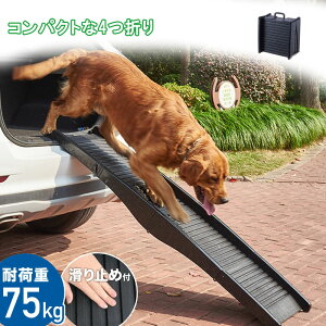 yՁIP5{+450~2401:59zX[v  ybgXebv 4܂ RpNg ybgpX[v Ki ݑ hbOX[v hbOXebv ₩ ܂肽 O ԗp X