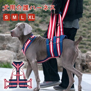 yX[p[SALE/P5{z  s⏕n[lX xg p nbN p ^ ^ ^ s⏕  V SgT|[g ybg s p オ ⏕ Q T