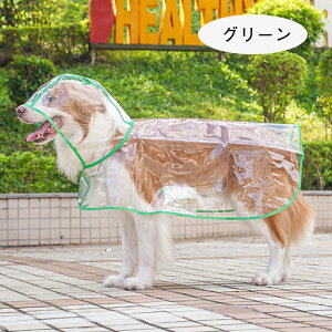 y26܂5%OFFN[|z CR[g C|` ₷ CEFA[ J ybgp Jbp JH h h 킢  ^ ^ ^ ~J΍ t[ht 