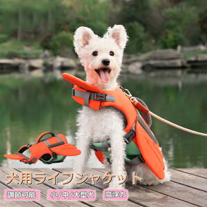  CtWPbg  ~ ybgpi WPbg ^pCtxXgWPbg j  C̐Vт ̖h~ v[ S S pCtWPbg  