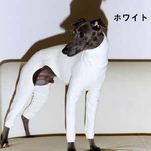 yԌ聚P5{+N[|zC^O  ~ C^O  ₷ g  ybgpi C^O  ~  t H ~ ^ C^O  H~ ɗD