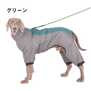 yԌ聚P5{+N[|z WPbg~ g _EWPbg hH hbOEFA H~ ₷ 傫TCY ^ ^ ^hbOEFA ̕ ybg  
