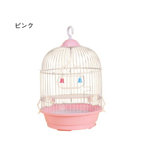 yԌIP5{+850~OFFz CRp P[W ی^ o[hpX  P[W X^h ^ L[  Ƃ肩 ZLZCCR pi