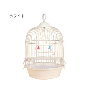 yԌIP5{+850~OFFz CRp P[W ی^ o[hpX  P[W X^h ^ L[  Ƃ肩 ZLZCCR pi