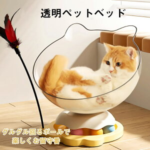 yԌIP5{+11%OFFzybgxbh L nbN  Lpxbh ]  L炵 LbgnEX FJvZ Lp  xbgnEX Lxbh L lV {[ 