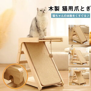 yX[p[SALEISiP5+10%OFFzLpNC~Ot[ ؐ W] L܂ƂЂ 킢LGݐu ^s XgX CeA ߂Ƃ ߋ W