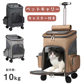 ペットキャリーバッグ 折りたたみ 大きめ リュック ペットキャリー バック ペットバッグ キャリーバッグ 猫用 犬用 ペット用品 小型犬 中型犬 トリミング 防災 通院 病院 ドライブ 避難用 メッシュ 軽量 折り畳み