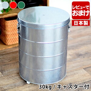 y115ő|Cg10{Ձzyr[TtzOBAKETSU IoPc CXXgbJ[ 30kg LX^[t ğC ߂т Ăт  yʃJbvt  킢 ۑe g C