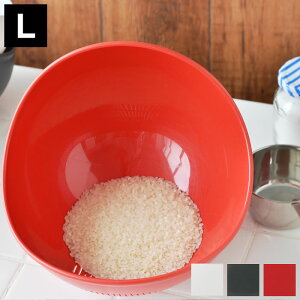  {E 炭`{E  LTCY b`F Richell Lb`{E p{E HΉ ؂肴  {E  Lb`  ĂƂ ֗O