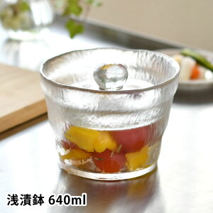 Д 640ml Еe a13cm Hgp Ђ Е  ȒP KX  y d Ɛ  킢 Vv ۑe k