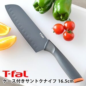 y101̓|Cgő10{ՁzT-fal eBt@[ tbVLb` TgNiCt 16.5cm  O XeX   mXeBbN ₷ ȒP v[g `^