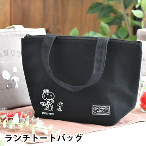 y125̓|Cgő10{ՁzI[GXP[ Xk[s[ ubN s[ibc `obO `g[g ۉ ۗ }` L ʋ ʊw i` Y fB[X  傫 