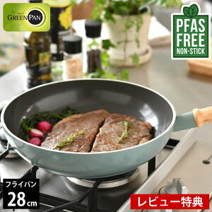 y111ő|Cg10{Ձzyr[TtztCp 28cm ihΉ GREENPAN O[p tCp 28cm Ct[ O[p 28cm Mtg  Z~bN ȒP lC 