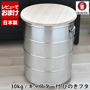 yr[TtzĂт OBAKETSU IoPc CXXgbJ[ 30kg LX^[t Ђ̂t^ yʃJbvt ۑe CX{bNX ΂ ğC  { 킢 􂦂 LX