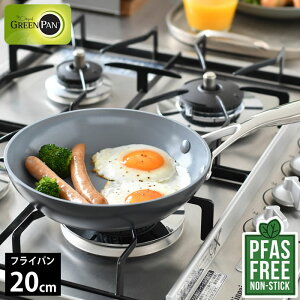 �t���C�p�� 20cm �_�C�������h GREENPAN �O���[���p�� �t���C�p�� 20cm ���F�j�X �v�� �O���[���p�� �t���C�p�� ��v �M�`�� ������� �M�t�g 20cm �R�[�e�B���O �K�X �ϋv�� �������ȒP �t�b�f��