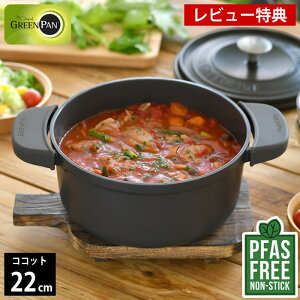 y1125Pő10{Ձzyr[Ttz 22cm GREENPAN O[p RRbgEh 22cm |bgz_[ 2t O[ tFU[EFCg O[p  ih IHΉ   