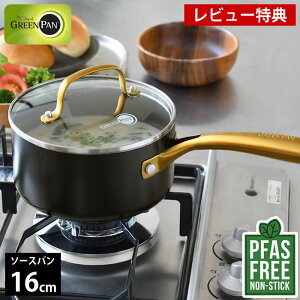 �y���r���[���T�t�z�Ў�� 16cm GREENPAN �O���[���p�� �\�[�X�p�� 16cm �K���X�W�t�� �X�g�D�f�B�I �\�[�X�p�� 16cm �O���[���p�� �� �X�g�D�f�B�I �\�[�X�p�� 16 �W�t�� �_�C�������h IH PFAS FREE �t
