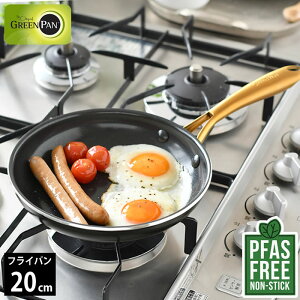 �t���C�p�� ih GREENPAN �O���[���p�� �t���C�p�� 20cm �X�g�D�f�B�I �O���[���p�� �t���C�p�� �u���b�N �M�t�g �m���X�e�B�b�N ���蕨 �t�b�f���H�Ȃ� �M�`�� IH�Ή� �_�C�A�����h PFAS FREE �K�X��