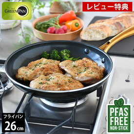【レビュー特典付】フライパン ih 26cm GREENPAN グリーンパン フライパン 26cm ストゥディオ グリーンパン フライパン IH おしゃれ フッ素加工なし ダイアモンド PFAS FREE ガス火 ギフト IH対応 セラミック 26cm ガス 安心 ブラック