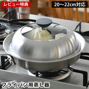 y111ő|Cg10{Ձzyr[Ttz  XeX { VJ ItCpp 20`22cm  tCp  v[g h[^  ֗O