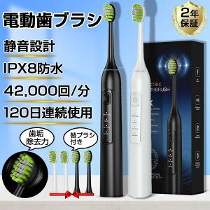 2026 �ŐV ���g�d�����u���V �����U�� 42000 �� / �� USB �[�d�� IPX8 �h�� �{�� + �ւ��u���V�t�� ���C���� �����\�h �g�ѕ֗� �q�� ��l �V�i