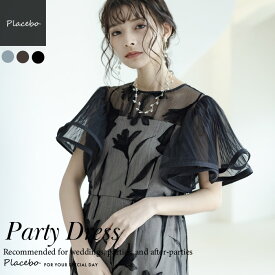 パーティードレス 結婚式 夏 ワンピース ブランド ネイビー ブラウン ブラック 高身長 LERURE リルアー ドリードール dorry doll ロング フロッキーフリル プリーツ 袖 ウエストゴム お呼ばれ パーティー 披露宴 ウェディング 袖あり party dress