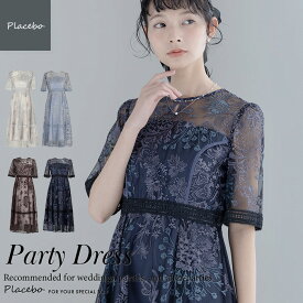 結婚式 夏 ドレス パーティードレス Dorry Doll ワンピース ロング丈 ミモレ丈 袖あり ドリードール ラダーレース 梯子レース 刺繍 細見え お呼ばれ ブランド 春 秋 冬 10代 20代 30代 40代 レーススリーブ 二の腕カバー 体型カバー