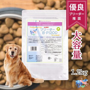 yz u[_[BP 1200 Y vZ^ p Tvg Dǃu[_[p e ybgpi r[y RhC` ̑ t p H@ h{⋋ \h 