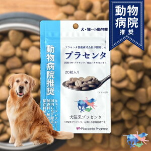 ya@z Y p Tvg SPFvZ^ vZ^ JLGLX  vZ^ 20 ^ubg Ö@H Ɖu ̑ t C N J XgX S A