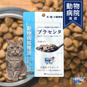 ya@z Y Lp Tvg vZ^ 20 vZ^ SPFvZ^ JLGLX  L ybgpi Ɖu ̑ t Nێ J XgX S AM