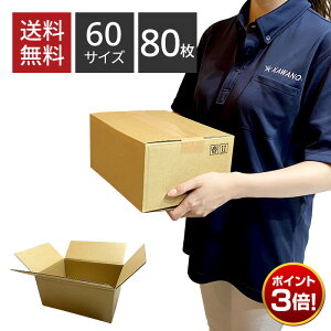 yP3{ 11/1 0:00` 11/30 23:59z_{[ 60TCY×80Zbg 264×194×118 z ݂ p z [ J z zB t} Av ב n V ʔ dʕ lbgVbv