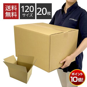 �y�|�C���g10�{�I12/19 20:00~12/26 9:59�z�_���{�[�� 120�T�C�Y×20���Z�b�g 445×340×282 �����z�� �݂��� ��p ��z ���[ �����J�� �z�� �z�B �t���} �A�v�� �ב��� ���n �V���� ��l��炵 �ʔ� 