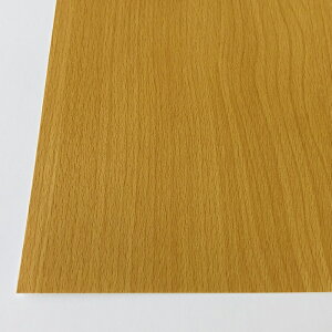 1220mm x 915mm 0.3~ Ж o[s[`LM (S-3) fUCV[g vX`bN |vs ؖ I fBXvC V[g ꉉo  Xܔi  Ebh