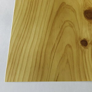 1220mm x 915mm ����0.3�~�� �Ж� �w (S-1) �f�U�C���V�[�g �v���X�`�b�N �|���v���s���� �ؖ� �I �f�B�X�v���C �V�[�g ���ꉉ�o ���� �X�ܔ��i ���� �E�b�h